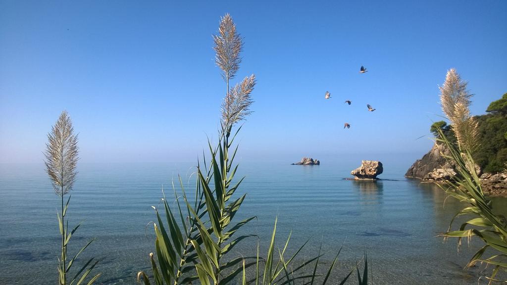 Yaliskari Beach ペレカス エクステリア 写真